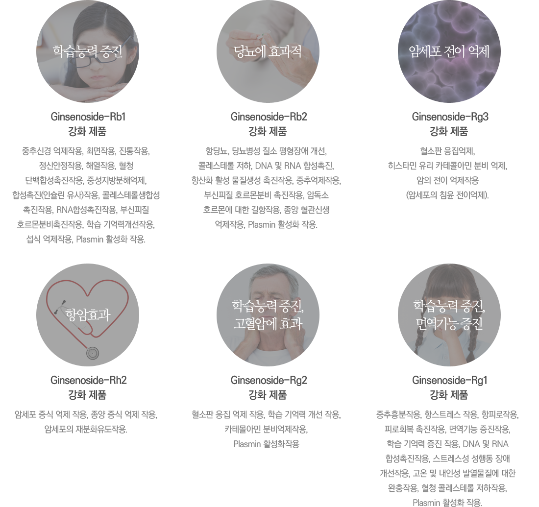 λ Ѹ  Ginsenoside Է